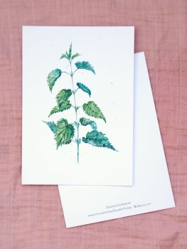 Premium Postkarte "Brennessel"